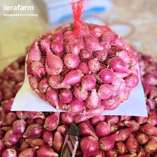Bawang merah Brebes dalam karung jaring