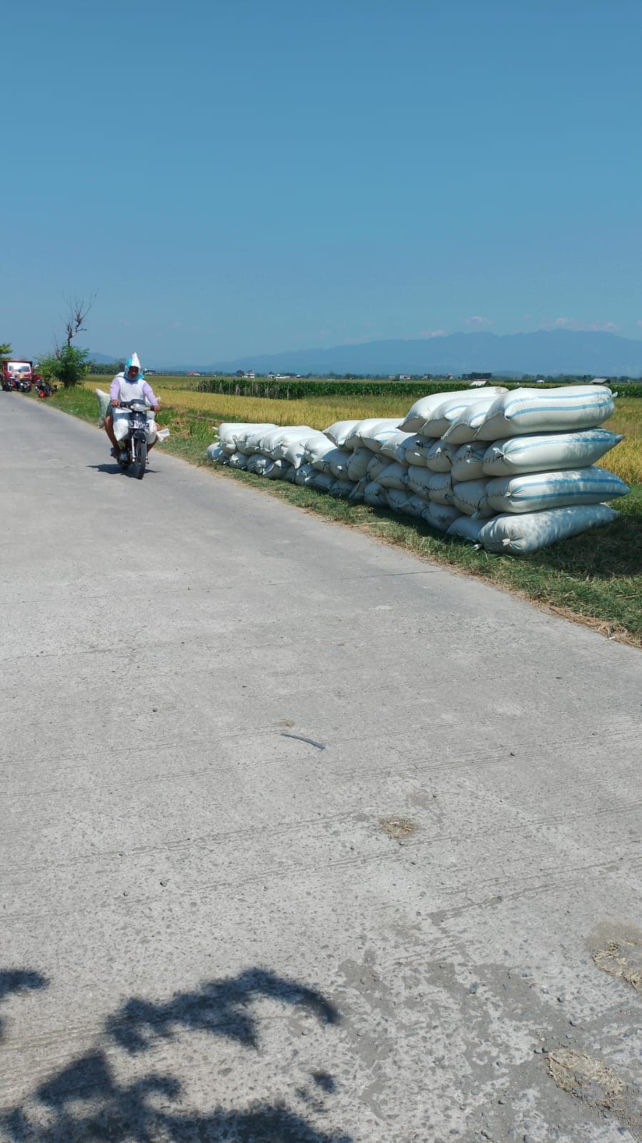 Beras berkualitas ierafarm